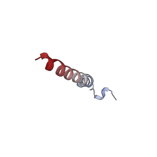 30421_7cp9_E_v1-1
Cryo-EM structure of human mitochondrial translocase TOM complex at 3.0 angstrom.