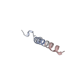 30421_7cp9_F_v1-1
Cryo-EM structure of human mitochondrial translocase TOM complex at 3.0 angstrom.