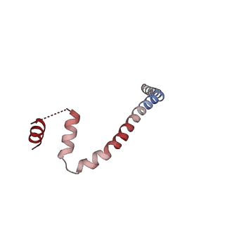 30421_7cp9_G_v1-0
Cryo-EM structure of human mitochondrial translocase TOM complex at 3.0 angstrom.