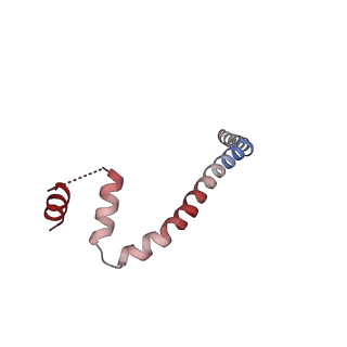 30421_7cp9_G_v1-1
Cryo-EM structure of human mitochondrial translocase TOM complex at 3.0 angstrom.