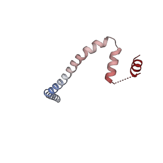 30421_7cp9_H_v1-0
Cryo-EM structure of human mitochondrial translocase TOM complex at 3.0 angstrom.