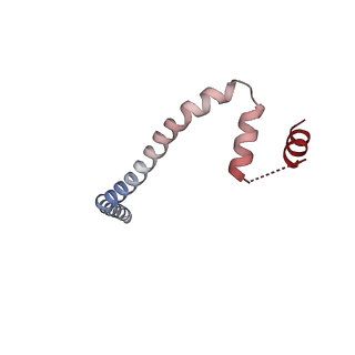 30421_7cp9_H_v1-1
Cryo-EM structure of human mitochondrial translocase TOM complex at 3.0 angstrom.