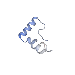 30431_7cpj_2_v1-2
ycbZ-stalled 70S ribosome