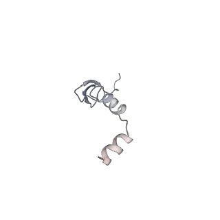 30431_7cpj_6_v1-2
ycbZ-stalled 70S ribosome