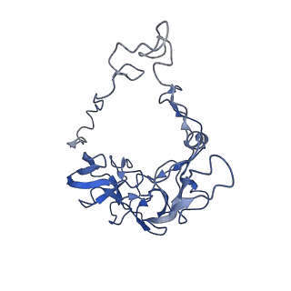 30431_7cpj_C_v1-2
ycbZ-stalled 70S ribosome