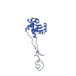 30431_7cpj_E_v1-2
ycbZ-stalled 70S ribosome