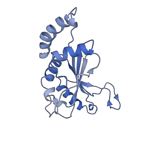 30431_7cpj_F_v1-2
ycbZ-stalled 70S ribosome