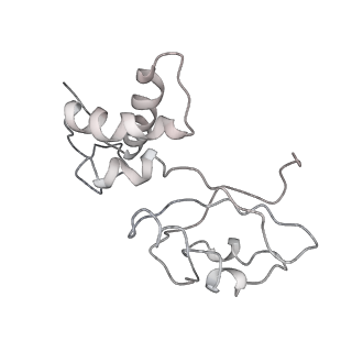 30431_7cpj_I_v1-2
ycbZ-stalled 70S ribosome