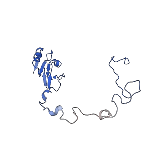 30431_7cpj_L_v1-2
ycbZ-stalled 70S ribosome