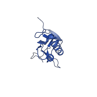 30431_7cpj_M_v1-2
ycbZ-stalled 70S ribosome