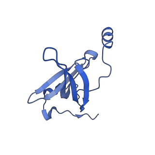 30431_7cpj_P_v1-2
ycbZ-stalled 70S ribosome
