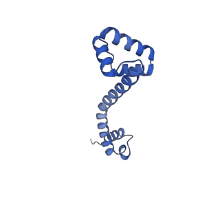 30431_7cpj_Q_v1-2
ycbZ-stalled 70S ribosome