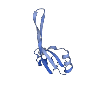 30431_7cpj_T_v1-2
ycbZ-stalled 70S ribosome