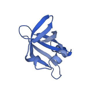 30431_7cpj_V_v1-2
ycbZ-stalled 70S ribosome