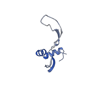 30431_7cpj_X_v1-2
ycbZ-stalled 70S ribosome