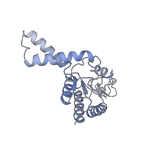 30431_7cpj_b_v1-2
ycbZ-stalled 70S ribosome