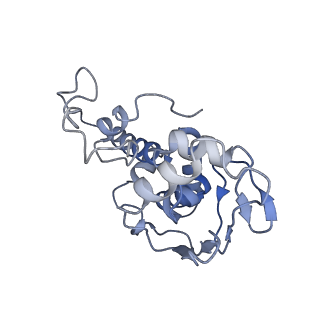 30431_7cpj_d_v1-2
ycbZ-stalled 70S ribosome