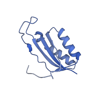 30431_7cpj_f_v1-2
ycbZ-stalled 70S ribosome