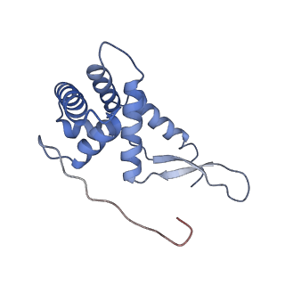 30431_7cpj_g_v1-2
ycbZ-stalled 70S ribosome