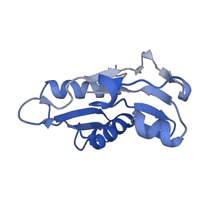 30431_7cpj_h_v1-2
ycbZ-stalled 70S ribosome