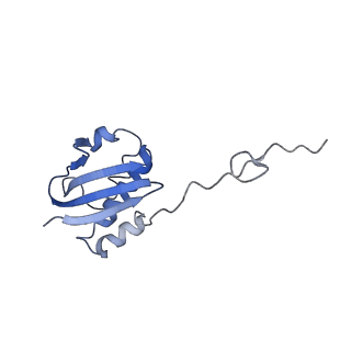 30431_7cpj_i_v1-2
ycbZ-stalled 70S ribosome