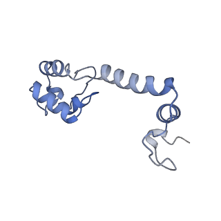 30431_7cpj_m_v1-2
ycbZ-stalled 70S ribosome