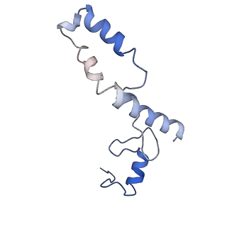 30431_7cpj_n_v1-2
ycbZ-stalled 70S ribosome