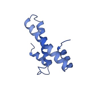 30431_7cpj_o_v1-2
ycbZ-stalled 70S ribosome