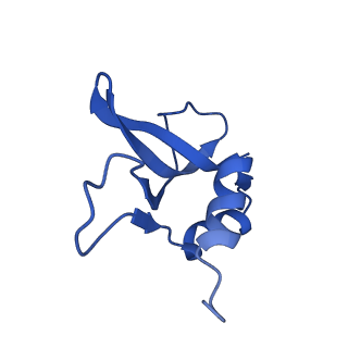 30431_7cpj_p_v1-2
ycbZ-stalled 70S ribosome