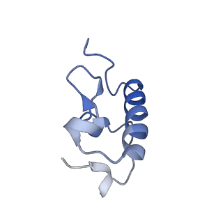 30431_7cpj_r_v1-2
ycbZ-stalled 70S ribosome