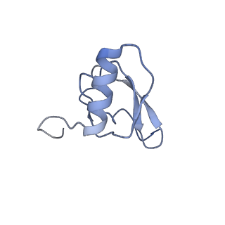 30431_7cpj_s_v1-2
ycbZ-stalled 70S ribosome