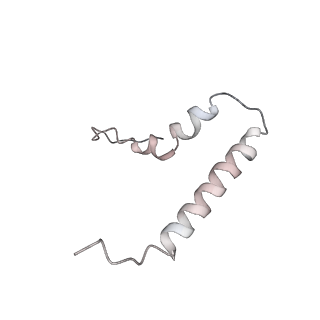30431_7cpj_u_v1-2
ycbZ-stalled 70S ribosome