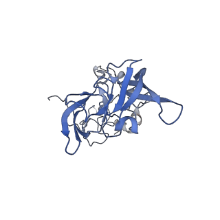 30432_7cpu_LA_v1-0
Cryo-EM structure of 80S ribosome from mouse kidney