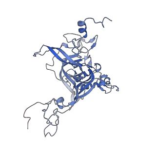 30432_7cpu_LB_v1-0
Cryo-EM structure of 80S ribosome from mouse kidney