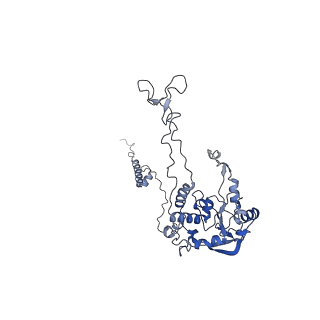 30432_7cpu_LC_v1-0
Cryo-EM structure of 80S ribosome from mouse kidney