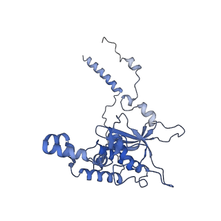 30432_7cpu_LD_v1-0
Cryo-EM structure of 80S ribosome from mouse kidney