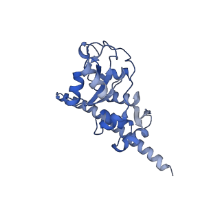 30432_7cpu_LF_v1-0
Cryo-EM structure of 80S ribosome from mouse kidney