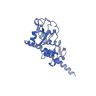30432_7cpu_LF_v2-2
Cryo-EM structure of 80S ribosome from mouse kidney