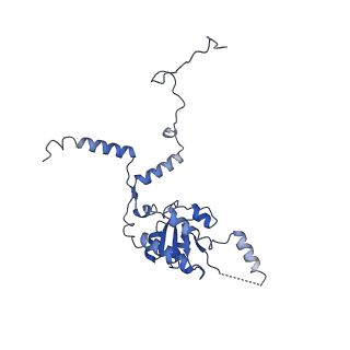 30432_7cpu_LG_v1-0
Cryo-EM structure of 80S ribosome from mouse kidney