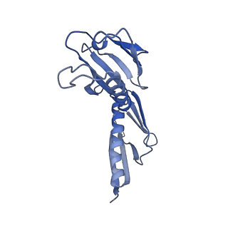 30432_7cpu_LH_v1-0
Cryo-EM structure of 80S ribosome from mouse kidney