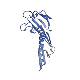 30432_7cpu_LH_v2-2
Cryo-EM structure of 80S ribosome from mouse kidney