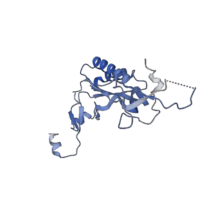 30432_7cpu_LI_v1-0
Cryo-EM structure of 80S ribosome from mouse kidney