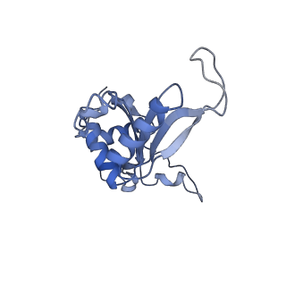 30432_7cpu_LJ_v1-0
Cryo-EM structure of 80S ribosome from mouse kidney