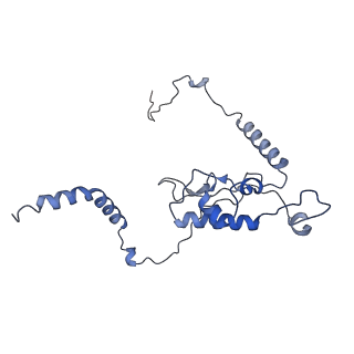 30432_7cpu_LL_v1-0
Cryo-EM structure of 80S ribosome from mouse kidney
