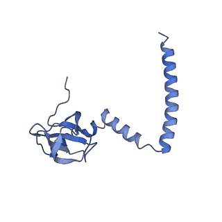 30432_7cpu_LM_v1-0
Cryo-EM structure of 80S ribosome from mouse kidney