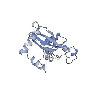 30432_7cpu_LN_v1-0
Cryo-EM structure of 80S ribosome from mouse kidney