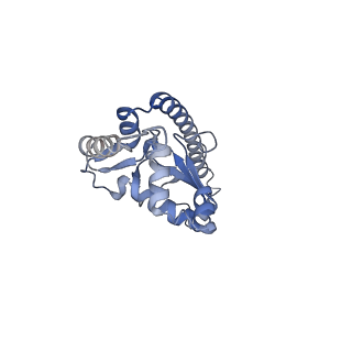 30432_7cpu_LO_v1-0
Cryo-EM structure of 80S ribosome from mouse kidney