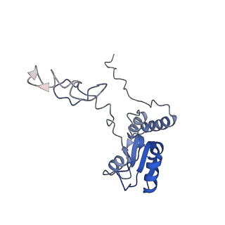 30432_7cpu_LQ_v1-0
Cryo-EM structure of 80S ribosome from mouse kidney