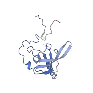 30432_7cpu_LT_v1-0
Cryo-EM structure of 80S ribosome from mouse kidney