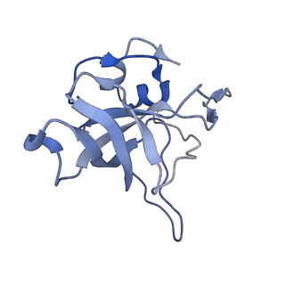 30432_7cpu_LV_v1-0
Cryo-EM structure of 80S ribosome from mouse kidney